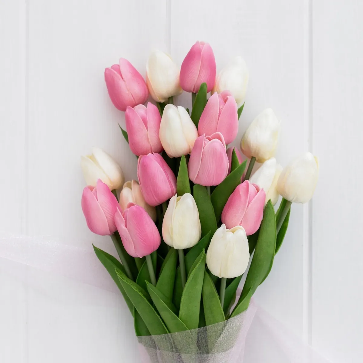 Tulipanes de Florería Trujillo