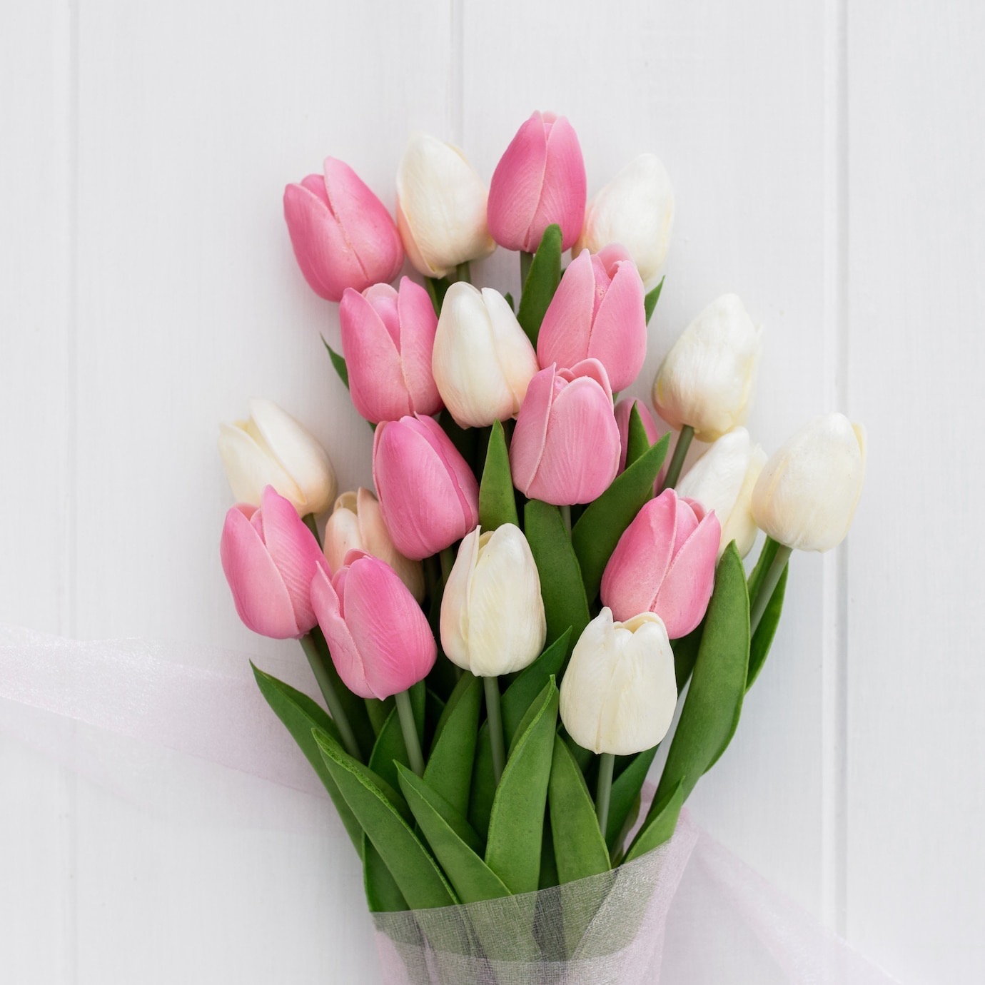 Tulipanes rosados y blancos, un detalle de nuestro catálogo