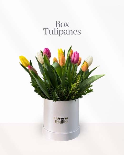 Box de tulipanes
