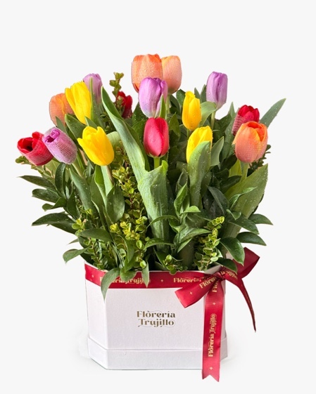 Box Wide de tulipanes