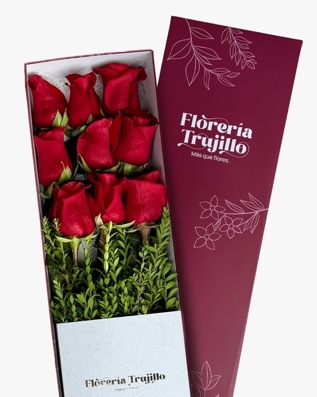 Estuche Carmín