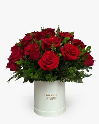 Terciopelo Premium