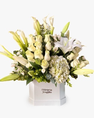 Blanco Pureza