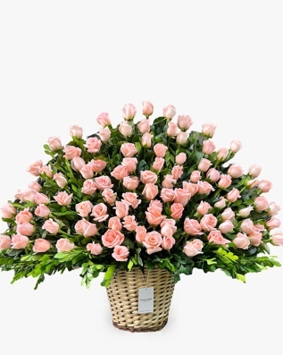 Campo de Rosas