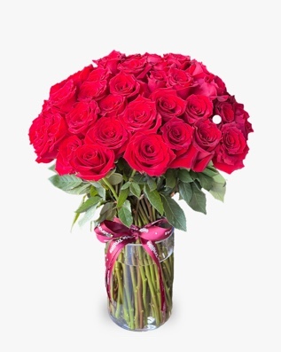 Rosas florecientes